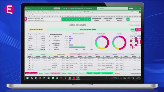 ENSSNE Cash Flow Manager Pro Version Excel / Google sheet Financial Template
